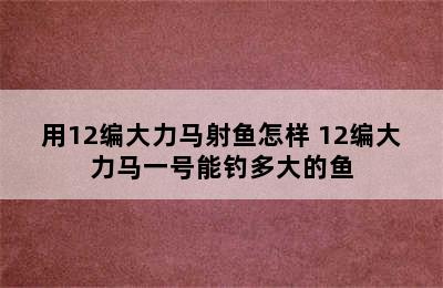 用12编大力马射鱼怎样 12编大力马一号能钓多大的鱼